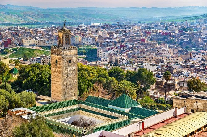 Fez Medina Half Day Walking Tour - Tour Overview