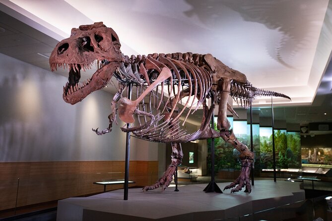 Field Museum of Natural History Early Access Ticket - Package Deal Details