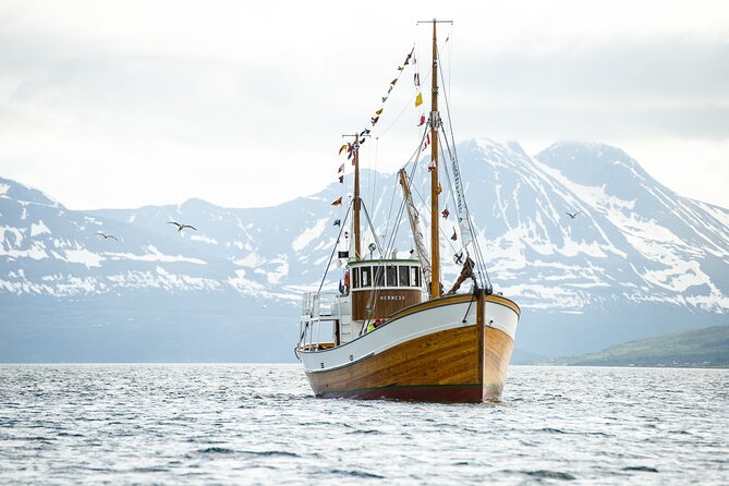 Fjord & History Cruise - Customer Reviews & Ratings