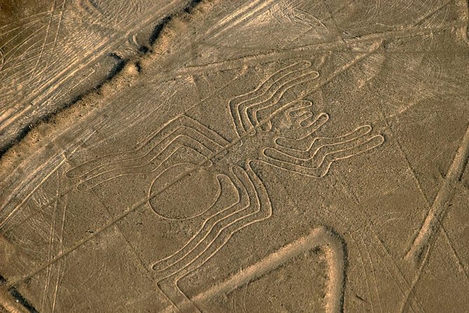 Flight Over the Nazca Lines From Nazca (35 Min) - Choosing the Right Flight Package for You