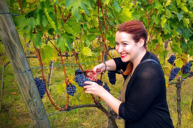 Florence to Montalcino and Montepulciano: Wine Tour With Lunch - Exploring Montepulciano