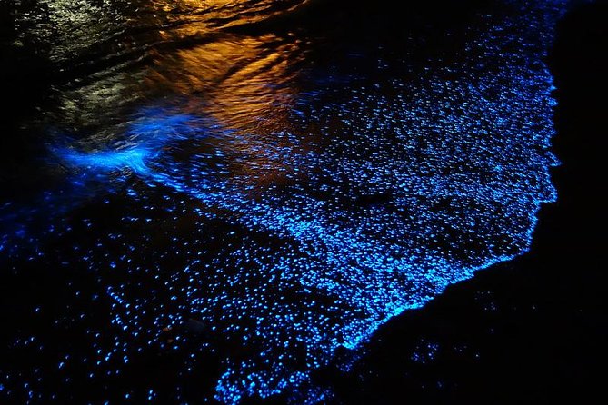 Florida Bioluminescence Kayaking Tour Haulover Canal (Titusville) - What to Expect