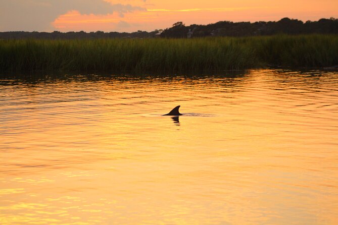 Folly Beach Dolphin Viewing Boat Excursion and Estuary Tour - Highlights of the Estuary Tour
