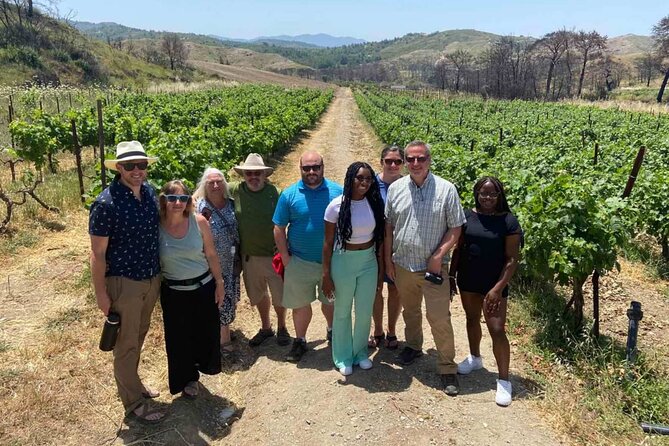 Food & Wine Tour: 11- Course Lunch, Cooking Class, Wine Tasting - Food & Wine Tour Overview