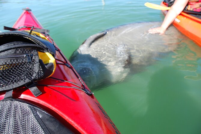 Fort Lauderdale's Tropical Kayak Tour and Island Adventure - Meeting and Pickup
