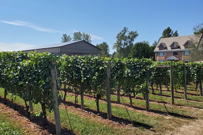 Fraser Valley Wine Tour With a Light Lunch From Vancouver - Wine Tastings and Light Lunch