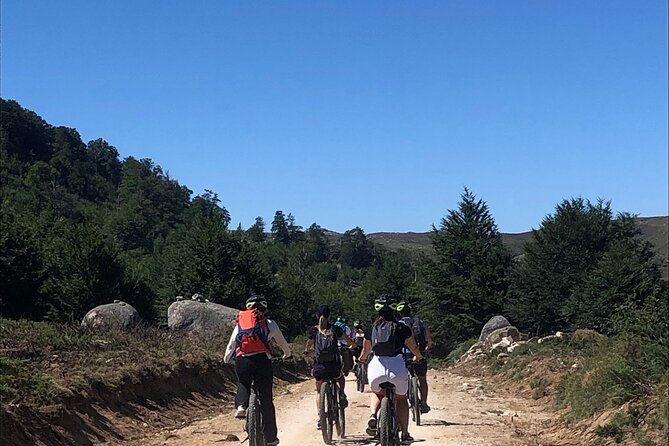 Free Rental of MTB (Mountain Bike) at the Cuscionu Plateau. - Date, Travelers, and Booking