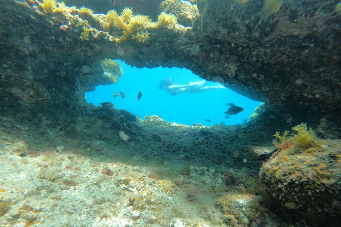 Freediving Activity in Fuerteventura With Pickup - Highlights of the Freediving Activity
