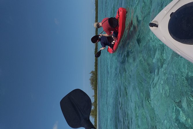 Freeport Shore Excursion: Kayak Turtle Park - Traveler Reviews