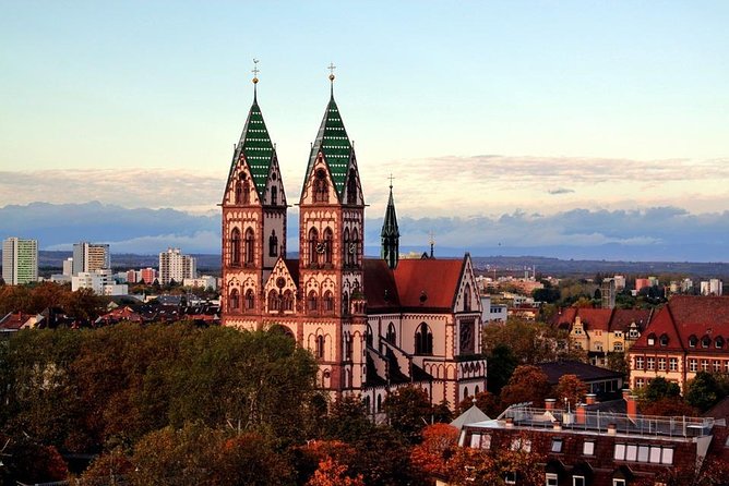 Freiburg Im Breisgau Walking Tour With a Professional Guide - Professional Guide Expertise