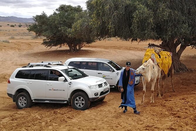 From Agadir or Taghazout: Small Desert Day Trip - Traveler Photos