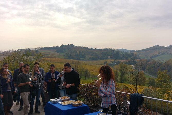 From Bologna: Wine Tasting and Vineyard Tour With the Winemaker - Exploring Vineyards and Cellars