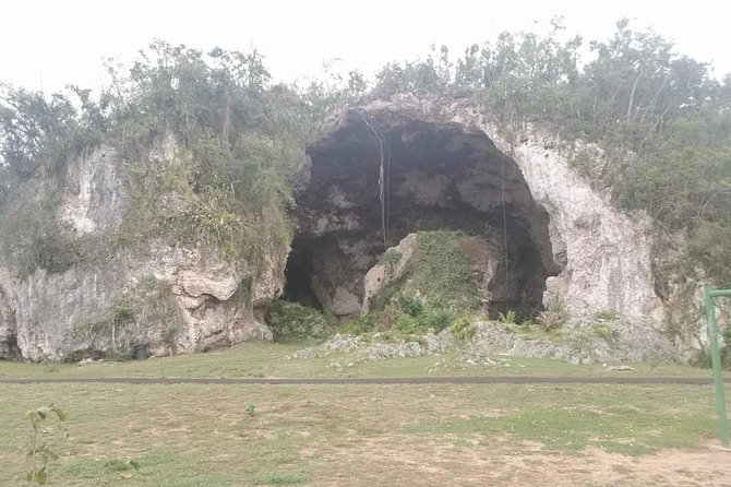 From Concrete Jungle to Actual Jungle: Private Puerto Rico Tour - Positive Reviews