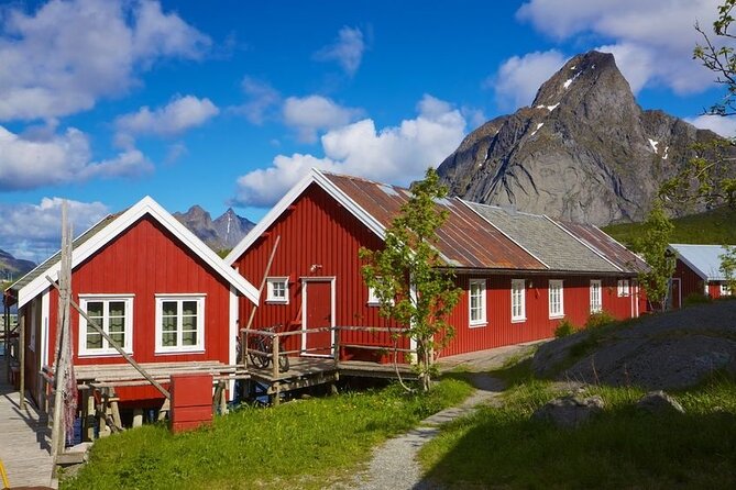 From Leknes Port: Special Summer Guided Tour of Lofoten - Traveler Photos and Reviews