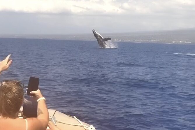 From Maalaea Harbor: Whale Watching Tours Aboard Winona Catamaran - Commentary by Knowledgeable Biologist