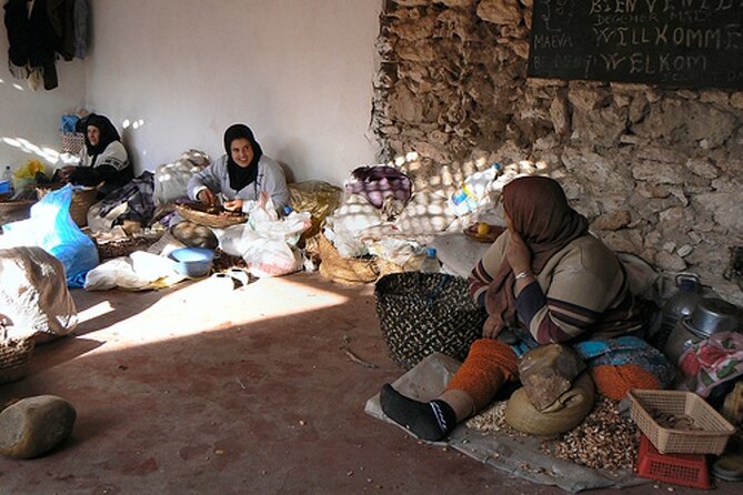 From Marrakech To Essaouira Mogador Full Day Trip Small-group - Positive Customer Experiences and Recommendations