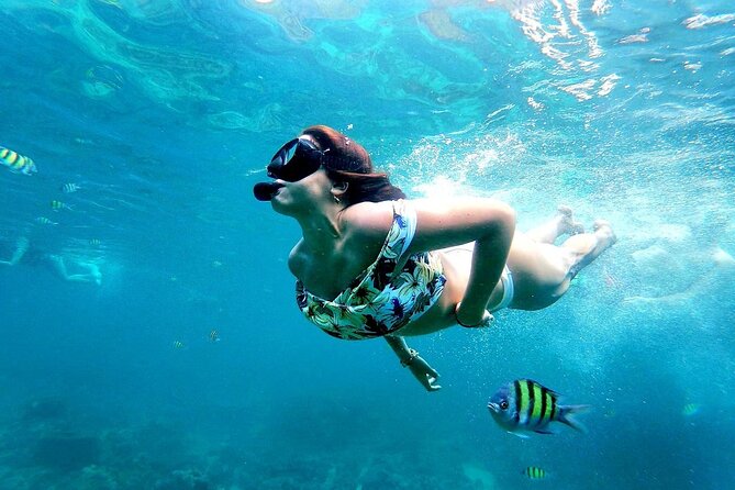 From Phuket: Phi Phi, Maya and Bamboo Islands Full Day Visit - Discovering Phi Phi Island