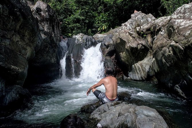 From San Juan: El Yunque Rainforest Hiking Adventure - Beautiful and Memorable Experience