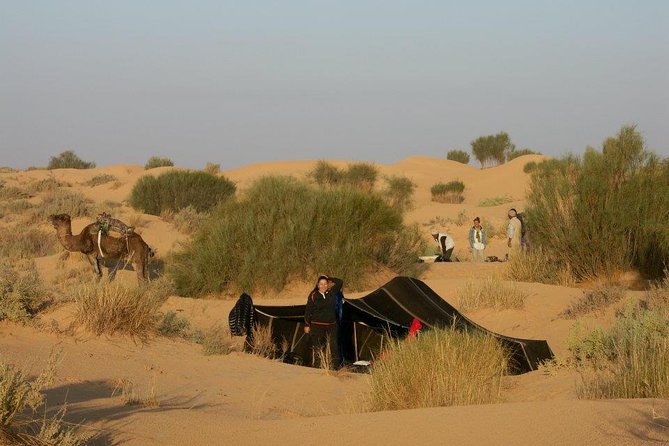 From Tozeur: 3-Day Desert Trip - Inclusions