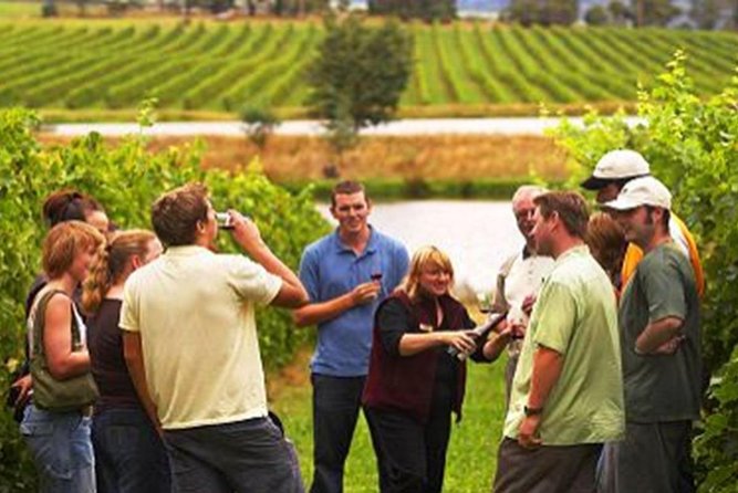 From Victoria to Cowichan Wine 6-Hour Guided Tour - What to Expect