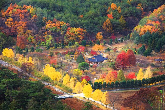 Full-Day Autumn Tour From Busan to Unmunsa Bhikkhuni Temple - Additional Information