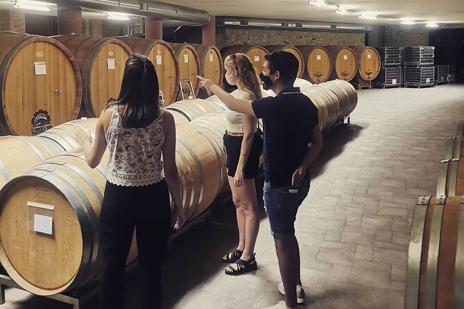 Full Day Barolo&Barbaresco Wine Tour From Torino With a Local Winemaker - Pickup and Meeting Point Information