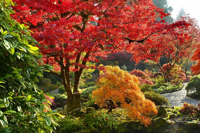 Full Day Best of Vancouver Private City Tour and Wine Tasting - Questions and Inquiries