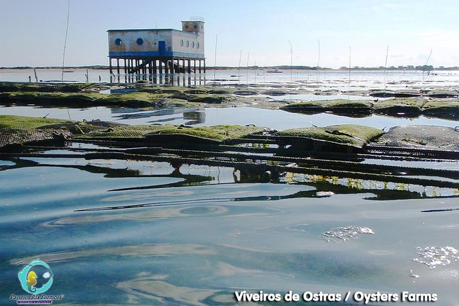 Full Day Boat Tour In Fuseta  - Faro - Meeting Point and Start Time