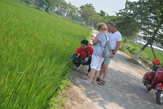 Full Day City And Countryside Vintage Vespa Tours - Reviews