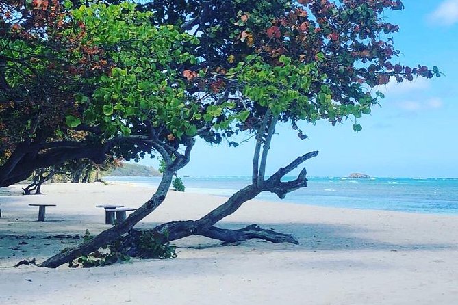 Full-Day Combo Adventure: Waterfalls, ATV, Ziplining, and More  - Puerto Plata - Customer Satisfaction and Services