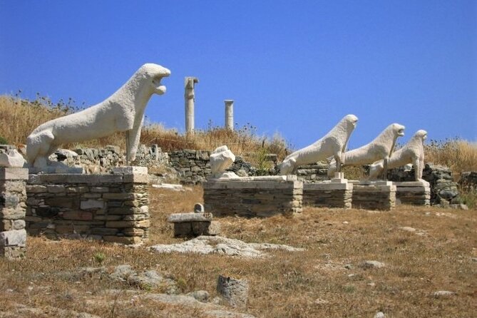 Full Day Cruise to Delos and Mykonos Islands From Paros - Pickup Details and Start Time
