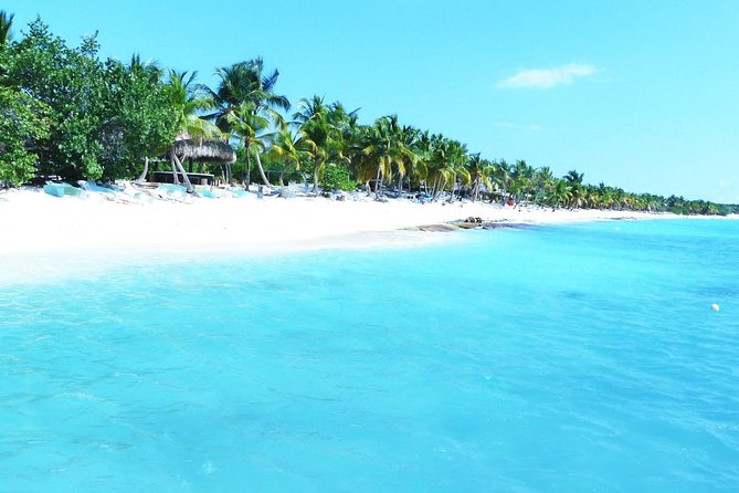 Full-Day Cruise to Saona Island - Free Snorkeling, Lunch & Open Bar - Booking and Logistics