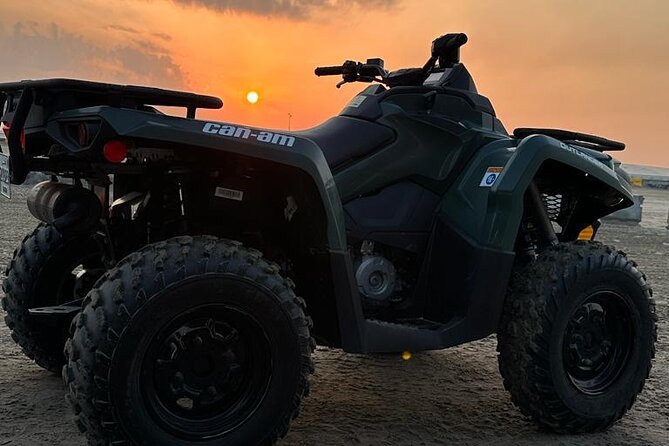 Full Day Desert Safari Doha - Desert Safari Activities