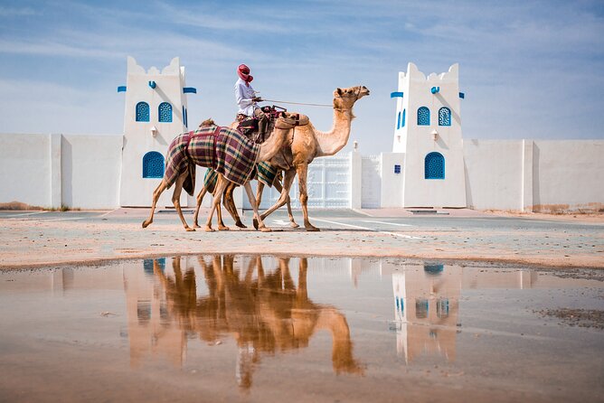 Full-Day Doha City Sightseeing Tour With History, Culture, Art, Gardens, Souk - Stops: Katara Village, Bazaar and Gardens, the Pear Island, Sheikh Faisal Bin Qassim Al Thani Museum, and More
