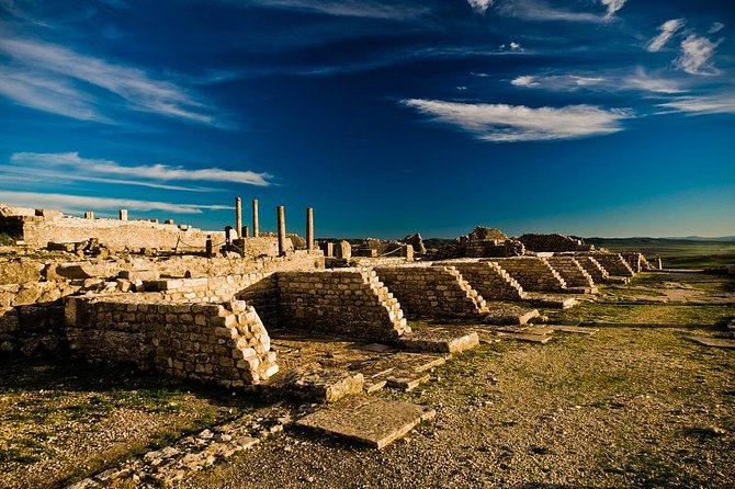 Full Day Dougga and Bulla Regia Private Tour With Lunch - Positive Customer Feedback