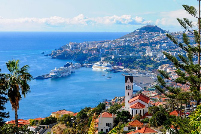 Full Day East of Madeira Tour - Positive Experiences