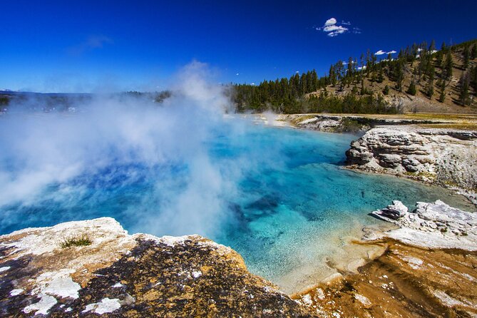 Full Day Family Friendly Private Tour at Yellowstone National Park With Lunch - Customer Reviews and Ratings