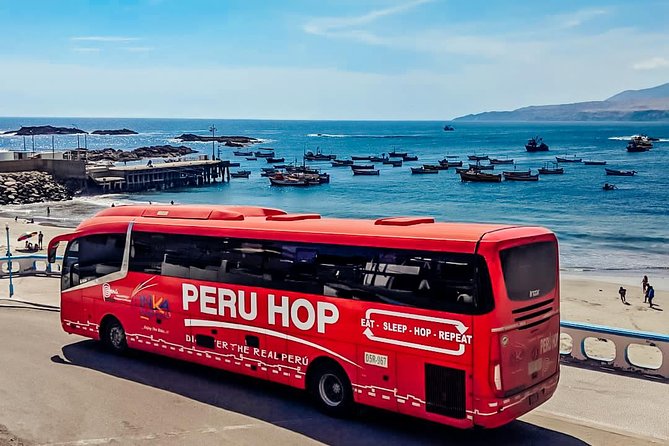 Full Day From Lima: Ballestas Islands & Paracas National Reserve - Traveler Experiences and Reviews