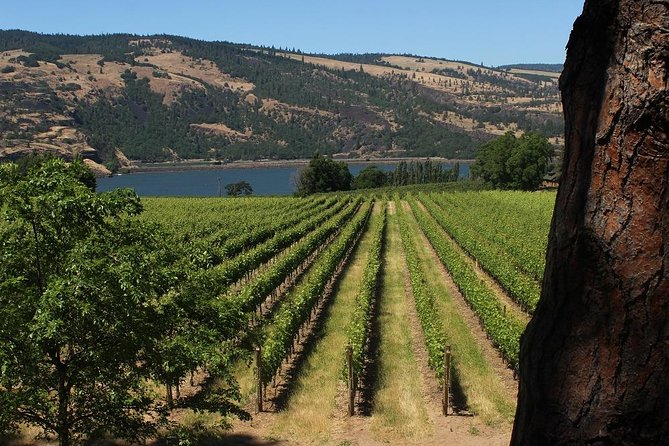 Full Day Gorge Waterfalls and Wine (Tasting Fees Included) - Cancellation Policy and Requirements