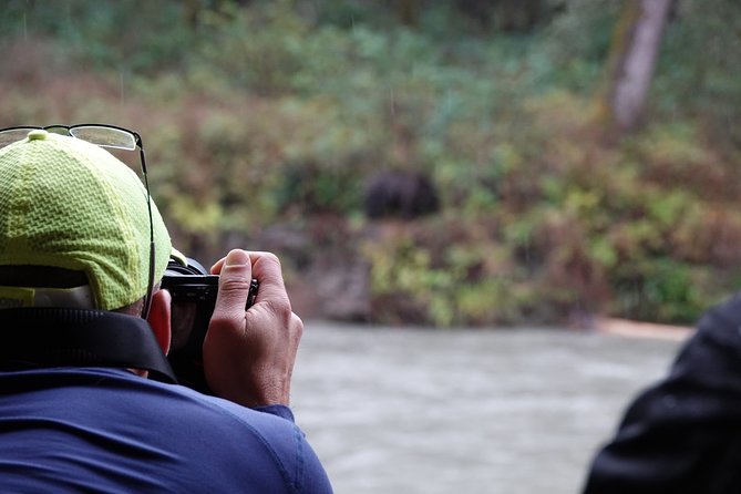 Full Day Grizzly Bear Tour to Toba Inlet - Highlights