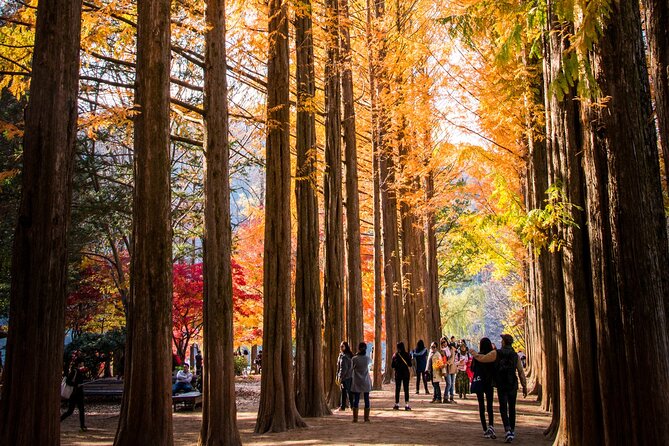 Full-day Guided Exploration in Nami Island and Gangwon-do - Weather and Refunds