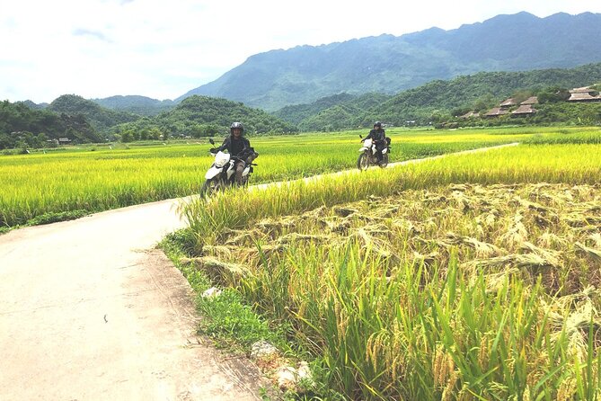 Full-day Guided Motorbike Tour in Pu Long Nature Reserve - Motorbike Tour Details