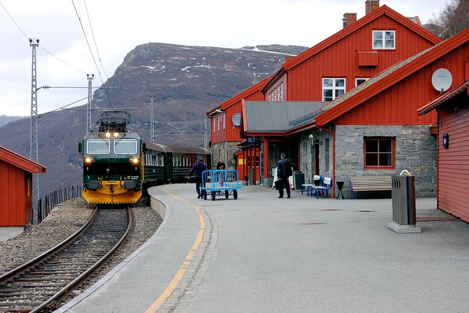 Full Day Guided Roundtrip From Bergen To Sognefjord With Flam Railway - Questions and Information
