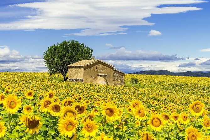 Full-Day Guided Tour Around Historical Provence  - Avignon - Cancellation Policy