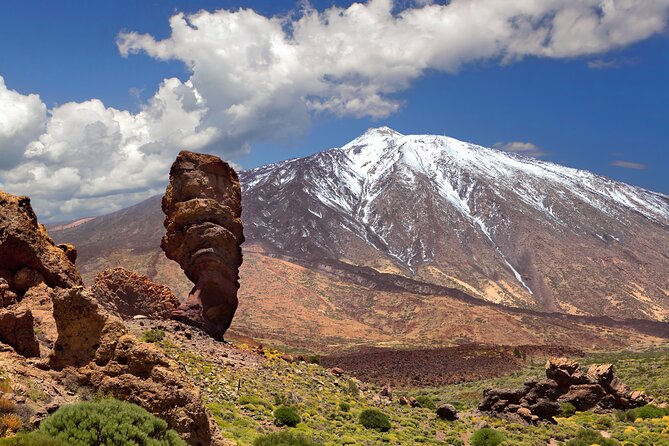 Full Day Guided Tour of Teide by Cabrio Bus - Traveler Photos and Experiences