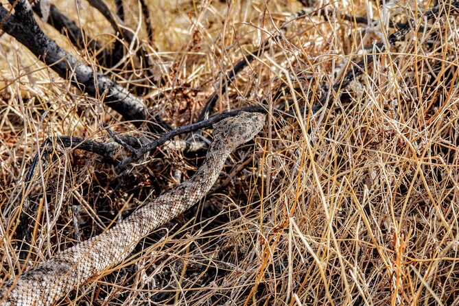 Full Day Hike in Joshua Tree National Park - Start Time and Opening Hours