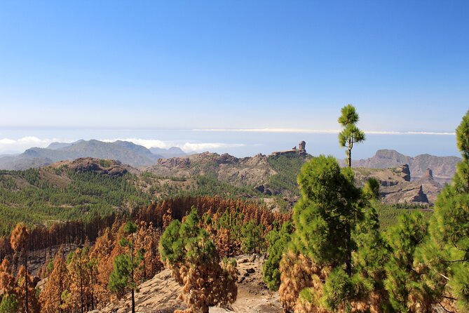 Full Day Hiking Gran Canaria Peaks of Gran Canaria - Recommended Age and Lunch