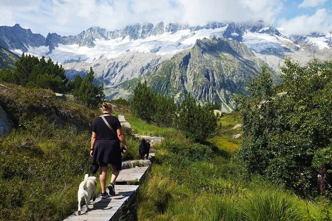 Full-Day Hiking Swiss Alps and Lake Lucerne With Pick-Up - Preparation and What to Bring