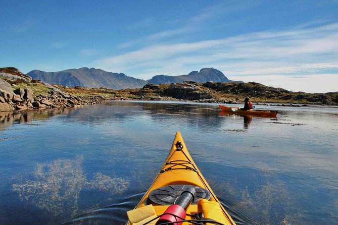 Full Day Kayak-Northern Explorer - Wildlife Spotting Opportunities