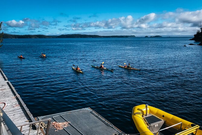 Full Day Kayaking Adventure on Vancouver Island - Itinerary Overview